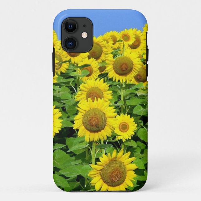 Sonnenblume-Felder Case-Mate iPhone Hülle (Rückseite)