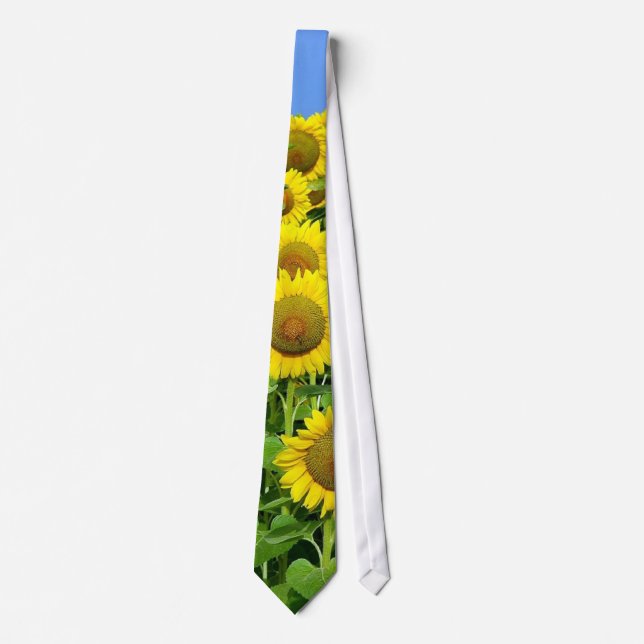 Sonnenblume-Felder Krawatte (Vorderseite)