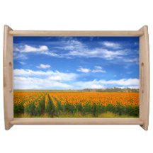 Sonnenblume-Felder - Serviertablett