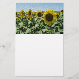 Sonnenblume Flyer