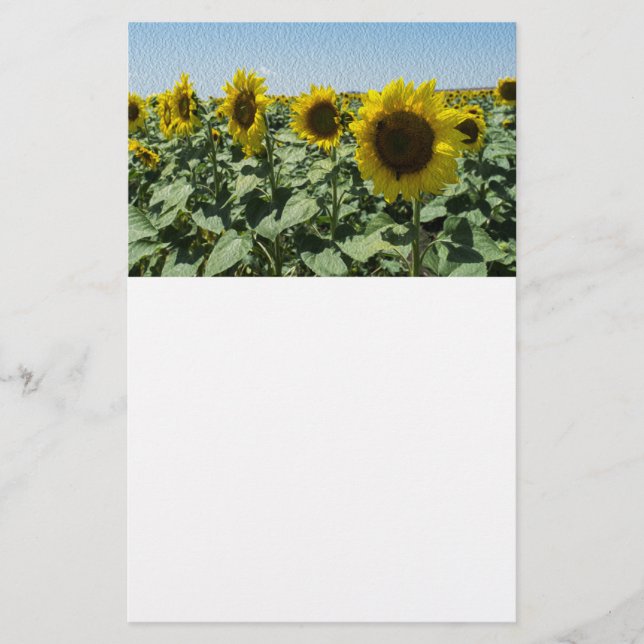 Sonnenblume Flyer (Vorne)