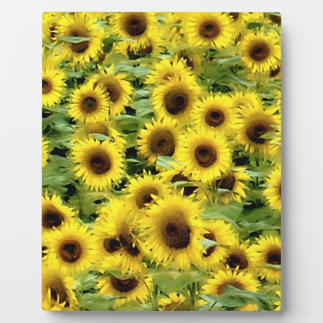 Sonnenblume Fotoplatte (Vorderseite)