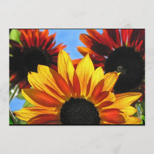 Sonnenblume-Garten-Sommer-Sonnenwende-Party Einladung