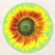 Sonnenblume, geblümt Gelb und Grün Blume Runder Pappuntersetzer (Vorderseite)