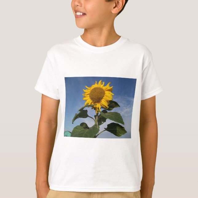 Sonnenblume gegen blauen Himmel T-Shirt (Vorderseite)