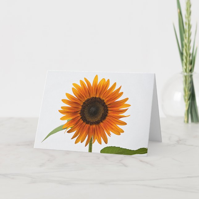Sonnenblume geklappte Grußkarte Karte (Vorderseite)