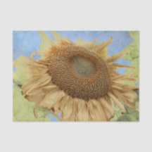 Sonnenblume Gelb Boho Rustikal Land Flora