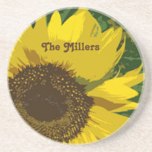 Sonnenblume Gelbe Blume Name Blume