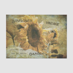 Sonnenblume Gelbe Vintage Textur Ephemere Seidenpapier