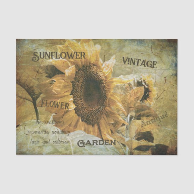 Sonnenblume Gelbe Vintage Textur Ephemere Seidenpapier (Vorderseite)