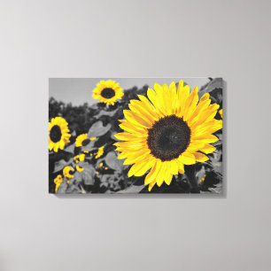 Sonnenblume: Gelber Farbtausch Leinwanddruck