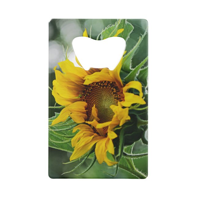 Sonnenblume Geldkarten Flaschenöffner (Vorderseite)