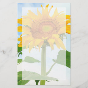 Sonnenblume, Gemeinschaftsgarten, Moses Lake, WA, Briefpapier