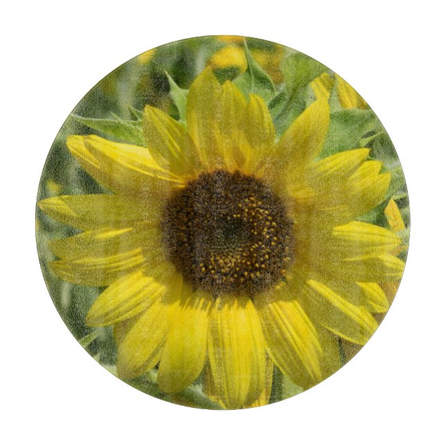 Sonnenblume-Glasschneiden-Brett Schneidebrett (Vorderseite)