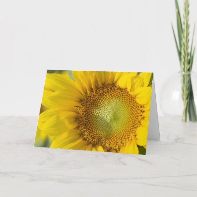 Sonnenblume-Goldschatten Karte (Vorderseite)