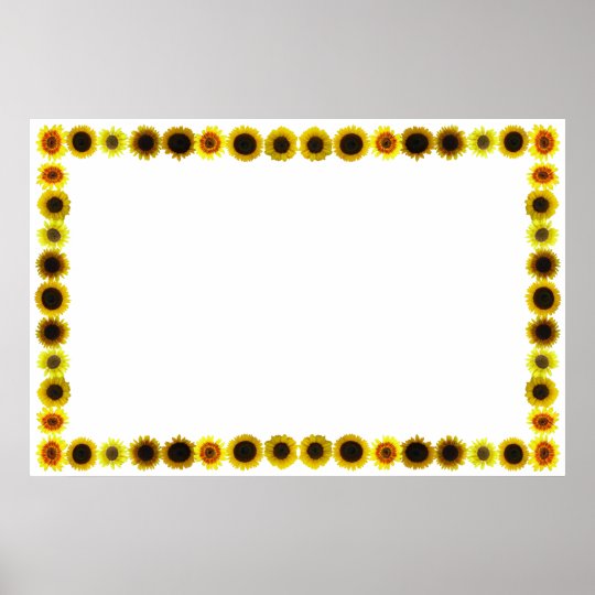 Sonnenblume Grenze Rahmen Ohne Hintergrund Poster Zazzle Ch