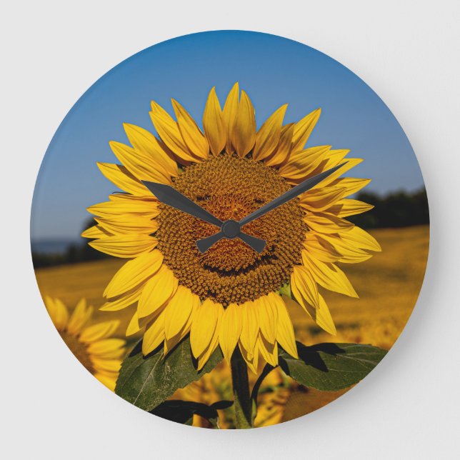 Sonnenblume Große Wanduhr (Vorderseite)