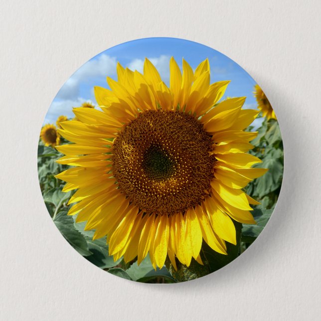 Sonnenblume-großes rundes Abzeichen Button (Vorderseite)