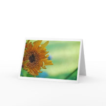 Sonnenblume [Grußkarte]