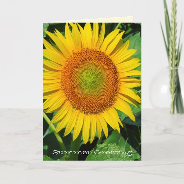 Sonnenblume: Grußkarte Karte (Vorderseite)