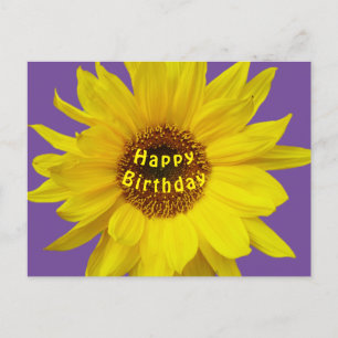 Sonnenblume Happy Birthday Postcard Postkarte