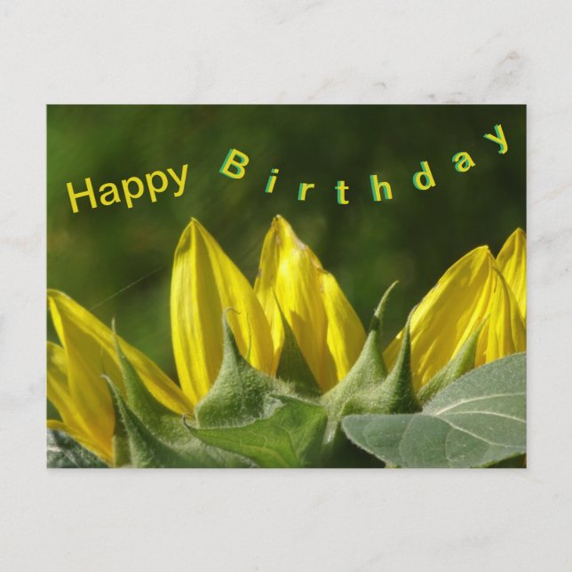Sonnenblume Happy Birthday Postcard Postkarte (Vorderseite)