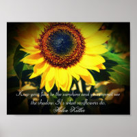 Sonnenblume Helen Keller Zitat: Aufregend