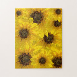 Sonnenblume (Helianthus)
