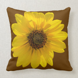 Sonnenblume (Helianthus), von der Sonne beleuchtet Kissen