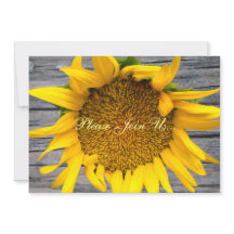 Sonnenblume Hochzeit Postwood Grau III