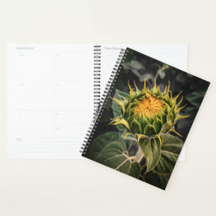 Sonnenblume im Blütenplaner Planer