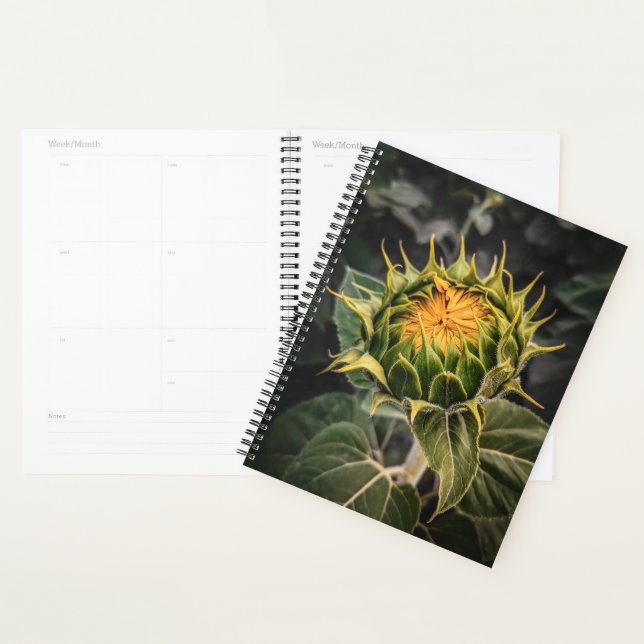 Sonnenblume im Blütenplaner Planer (Anzeige)
