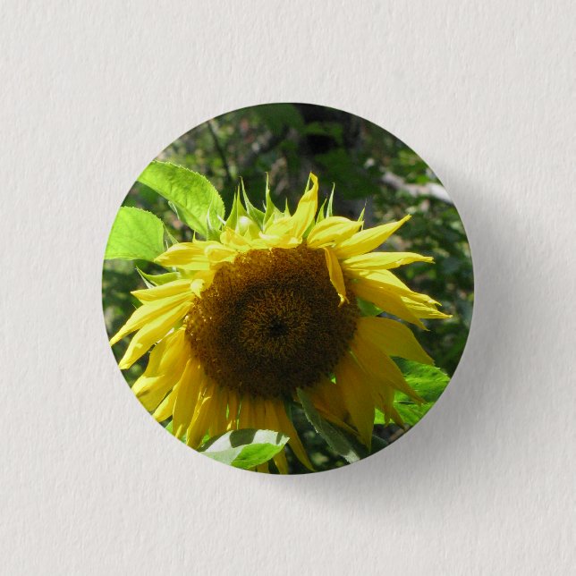 Sonnenblume-im Garten arbeitenknopf Button (Vorderseite)