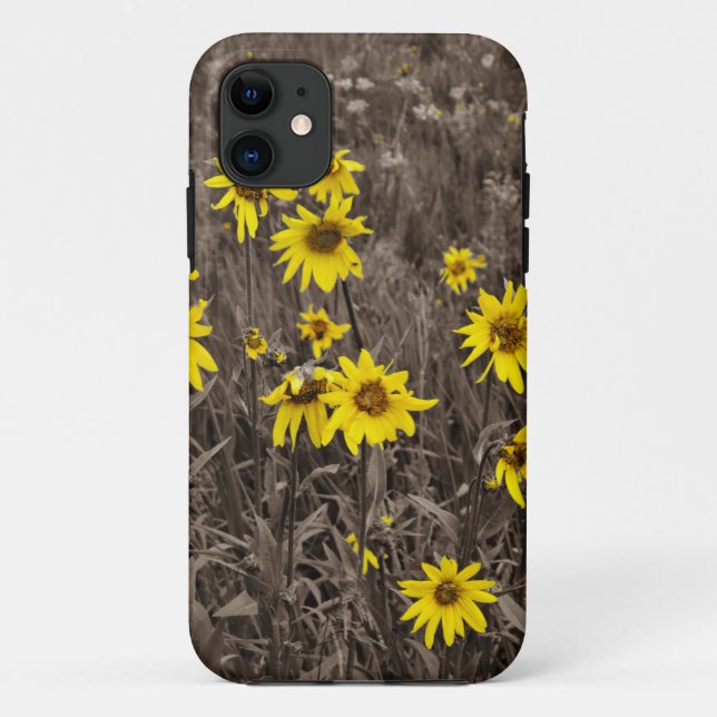 Sonnenblume im Rocky Mountain Case-Mate iPhone Hülle (Rückseite)