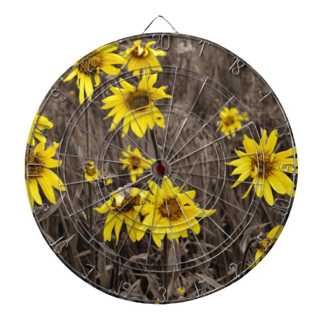 Sonnenblume im Rocky Mountain Dartscheibe (vorne)