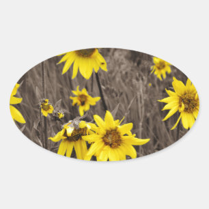 Sonnenblume im Rocky Mountain Ovaler Aufkleber