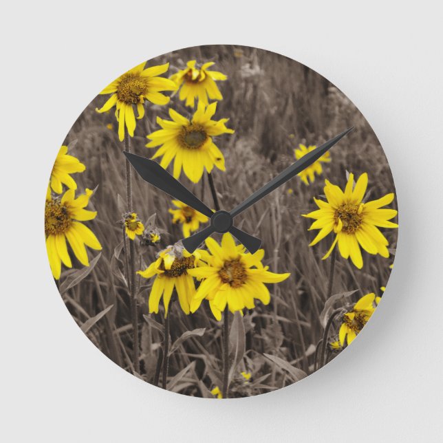 Sonnenblume im Rocky Mountain Runde Wanduhr (Vorderseite)