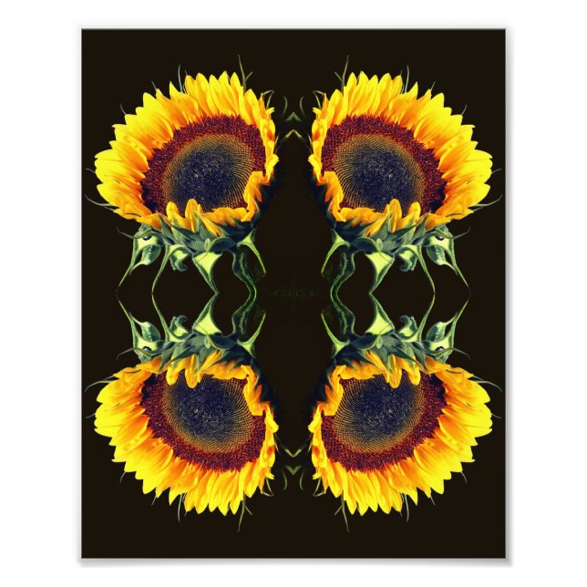 Sonnenblume in der Abstrakten Blume Sonnenschein A Fotodruck (Vorne)