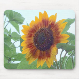 Sonnenblume in einem blauen blauen Himmel — Mousepad