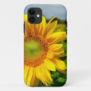 Sonnenblume iPhone 5 Fall title_seo2