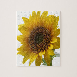 Sonnenblume Jigsaw Puzzle