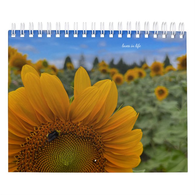 Sonnenblume Kalender (Titelbild)