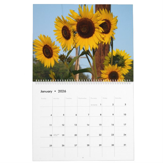 Sonnenblume-Kalender 2012 Kalender (Jan 2026)