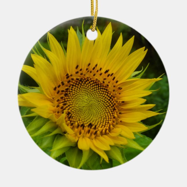 Sonnenblume Keramik Ornament (Vorne)