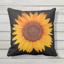 Sonnenblume