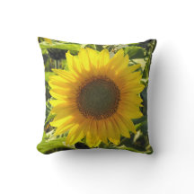 Sonnenblume