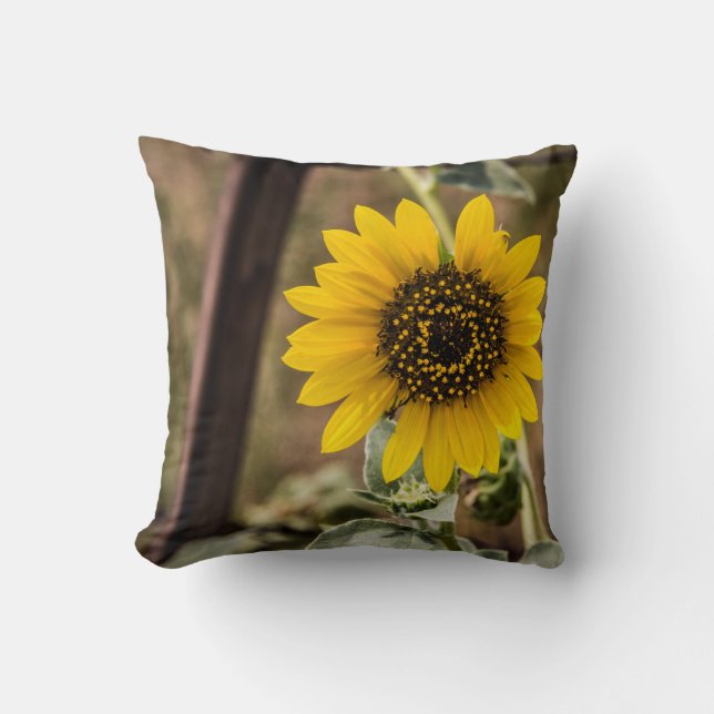 Sonnenblume Kissen (Vorderseite)