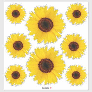 Sonnenblume-Konturn-Aufkleber-Prämie Aufkleber