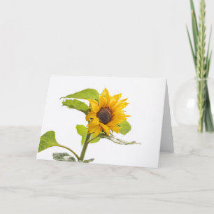 Sonnenblume küsst den Himmel Karte