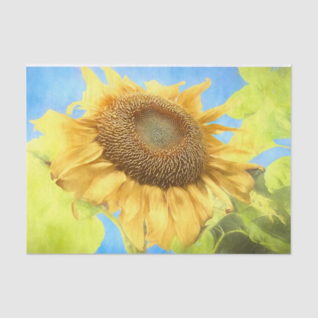 Sonnenblume Land Rustikales Gelbes Wasser Seidenpapier (Vorderseite)